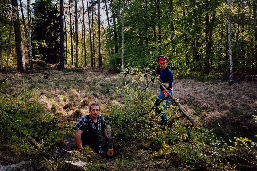 Zwei Männer bei der Waldarbeit.