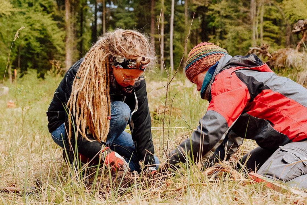 Zwei Personen pflanzen Bäume.