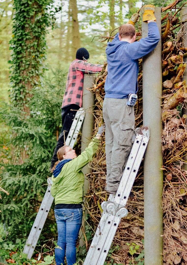 Bau eines Zaunes aus Totholz.