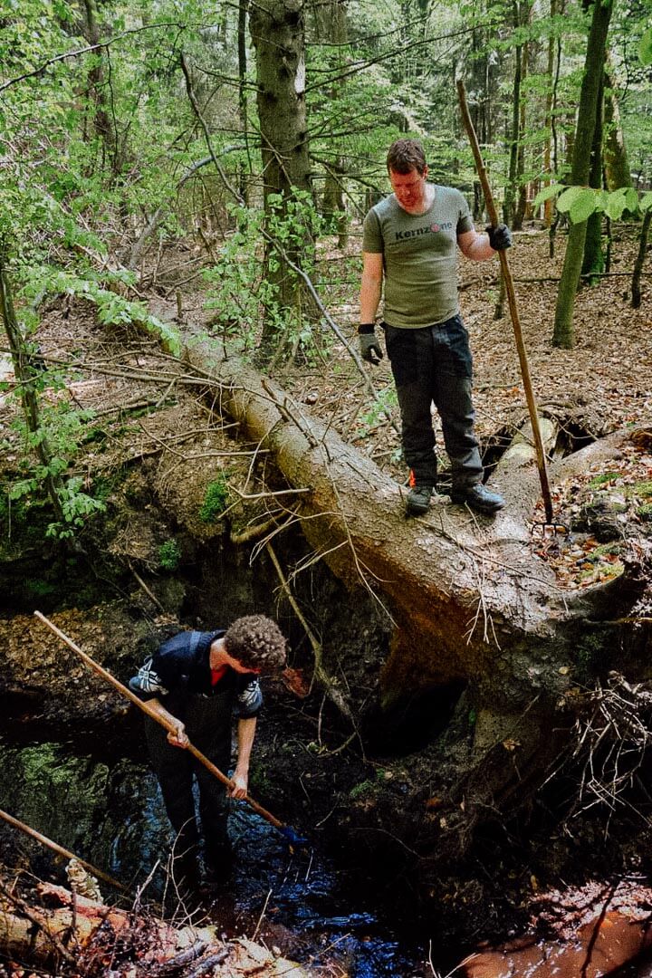 Zwei Männer bei der Waldarbeit.