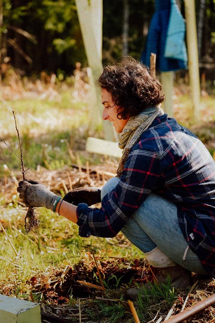 Eine Frau pflanzt einen Baum.