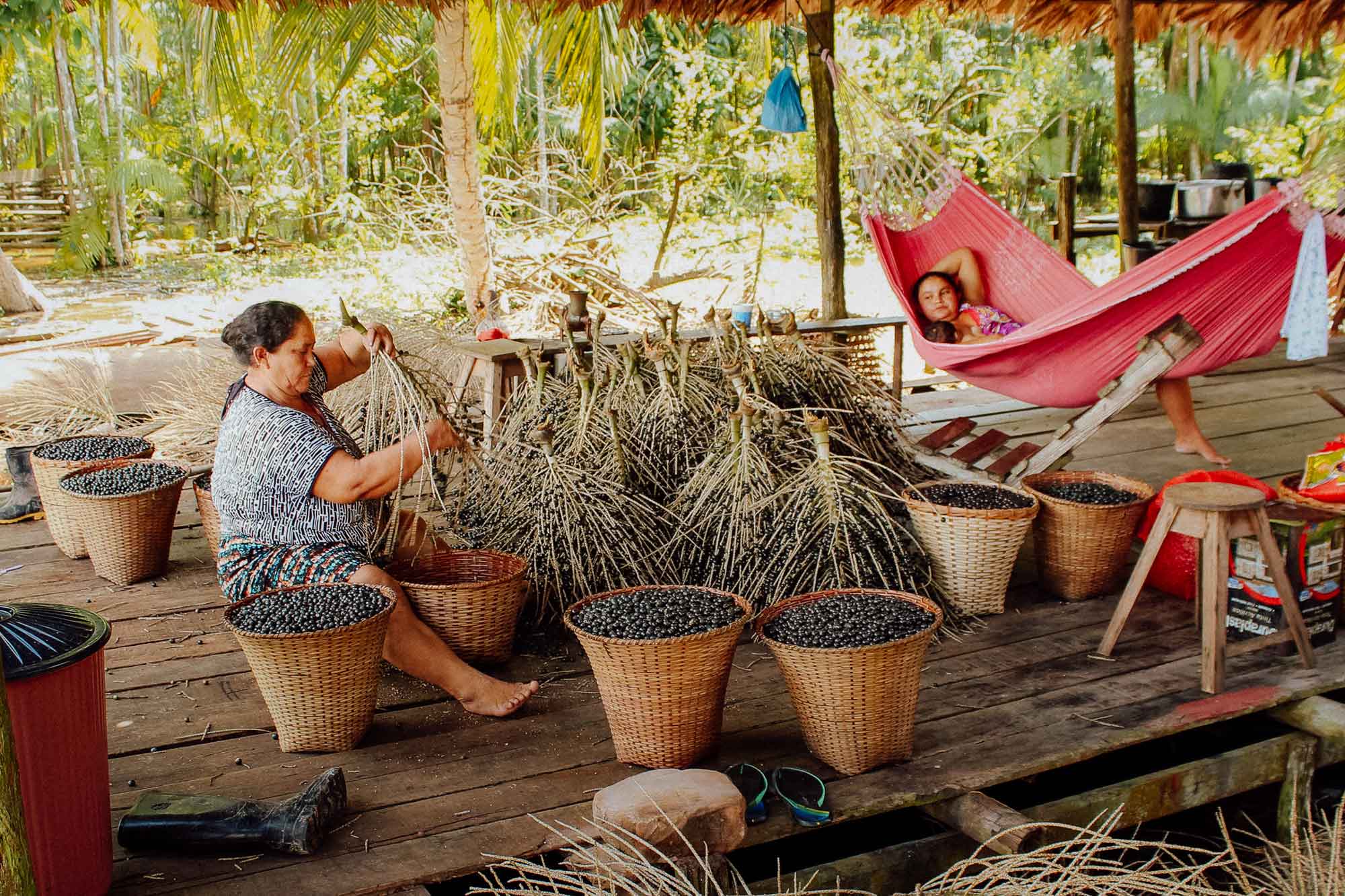 Frau bei der Erntearbeit. Eine andere Frau liegt in einer Hängematte