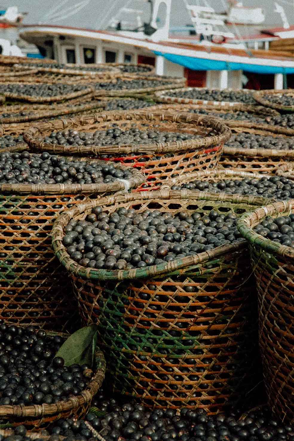 Kaffebohnen in Erntekörben.