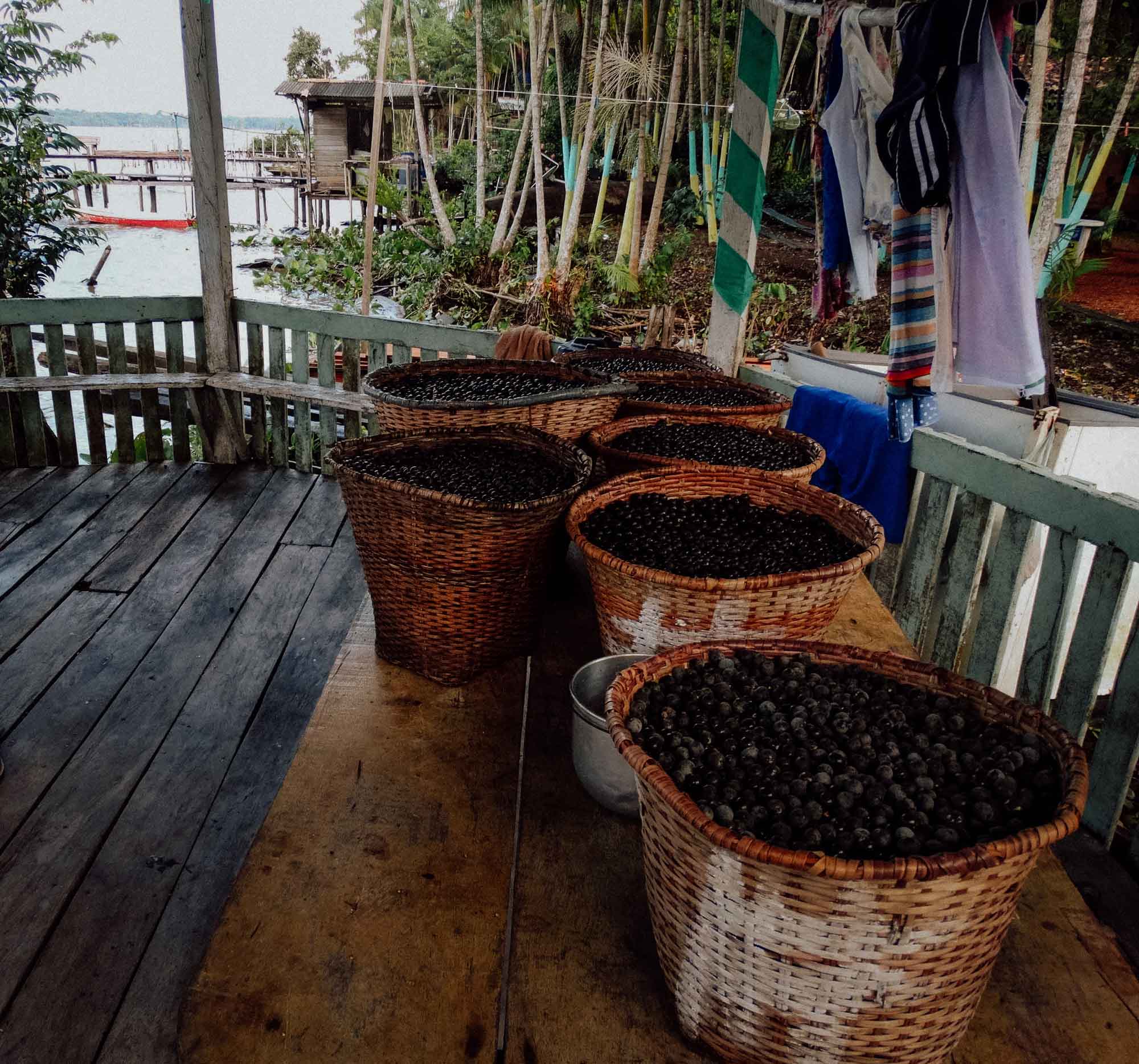 Kaffeebohnen in Erntekörben