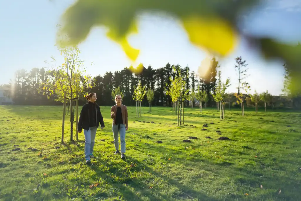 BILLY BOY Nachhaltigkeit Streuobstwiese